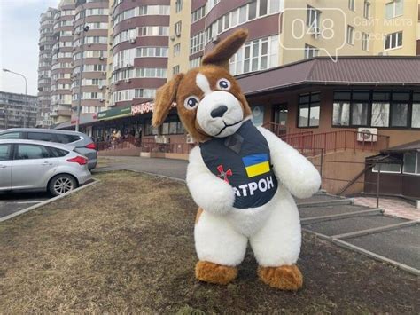 Ростовий костюм Пес Патрон - Оголошення на 048.ua