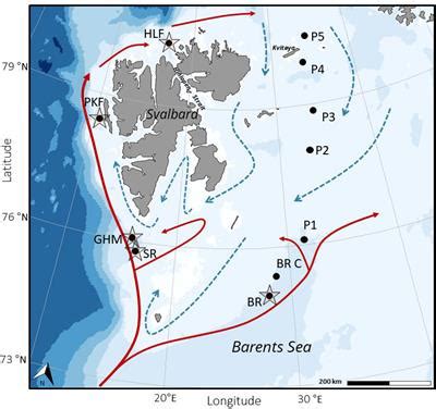 Frontiers Chemosynthetic And Photosynthetic Trophic Support From Cold