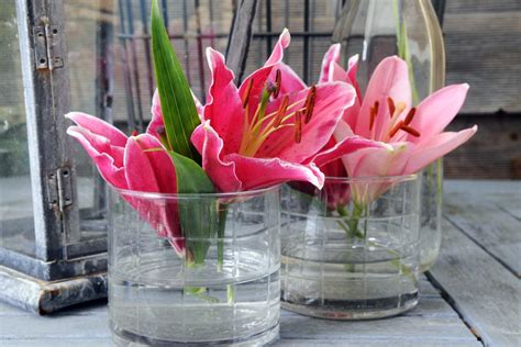 Perennials For Cut Flowers - Flowers For A Cutting Garden | HGTV