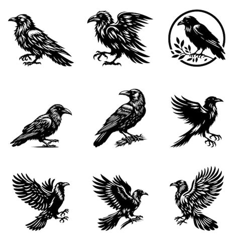 Premium Vector Raven Silhouette Vector Illustration Set