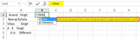 Remove Space In Excel Leading Trailing Blank Extra Spaces