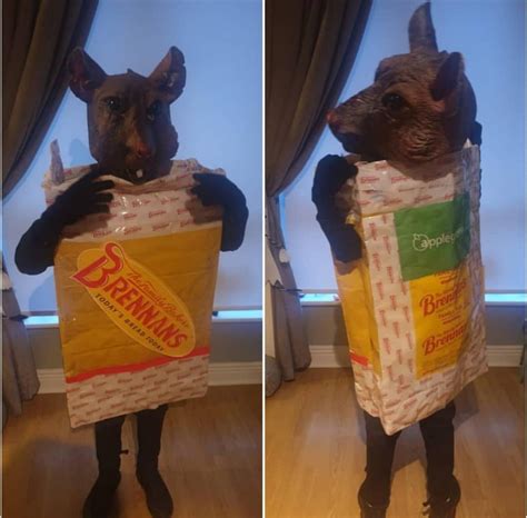 The most Irish Halloween costume this year : r/ireland