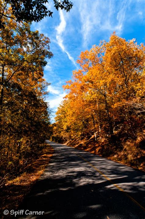 Spiff Carner Photography: Fall colors arriving in Atlanta