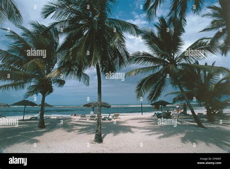 Kenya Around Mombasa Diani Beach Stock Photo Alamy