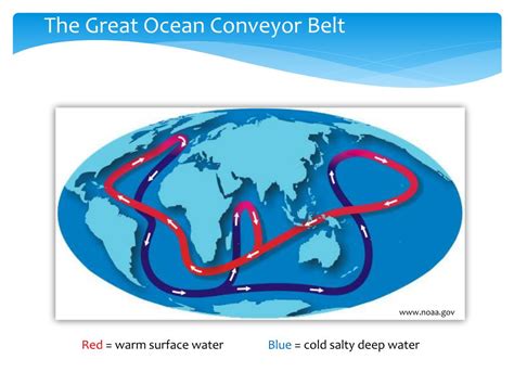 PPT - Global Ocean Conveyor Belt, A Cold Salty Deep PowerPoint ...