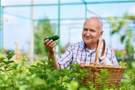 Premium Photo Senior Man Holding A Cucumber