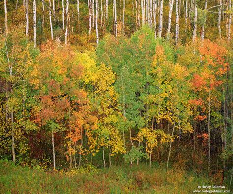 McClure Pass | McClure Pass, Colorado | Landscape mountain and desert photography