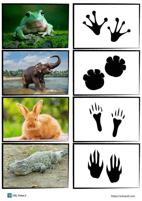 96 Free Animal Tracks Matching Game Cards Animal Tracks Animals For