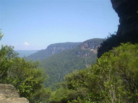 Wentworth Falls Conservation Hut Loop Hike 6 7km Blue Mountains