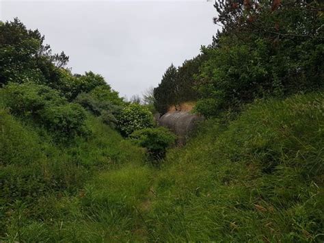 Scary Images Of Abandoned Wwii Bunkers Urban Exploration Urbex