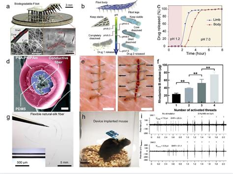 Figure 13 From Fibrous Wearable And Implantable Bioelectronics Semantic Scholar