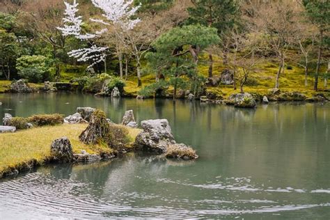 Arashiyama Walking Tour Bamboo Forest Monkey Park Secrets