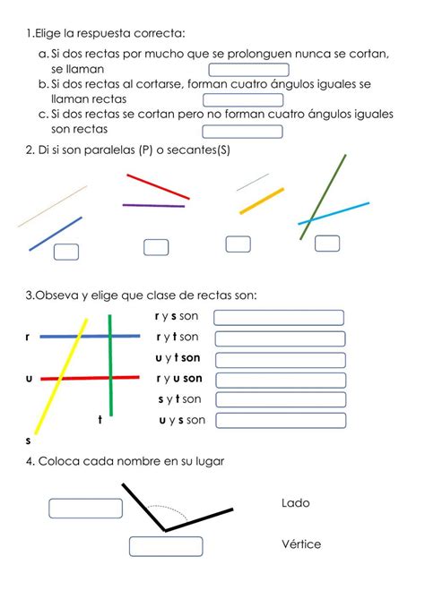 Ejercicio Interactivo De Rectas Y ángulos Para 3º Puedes Hacer Los Ejercicios Onl Ejercicios