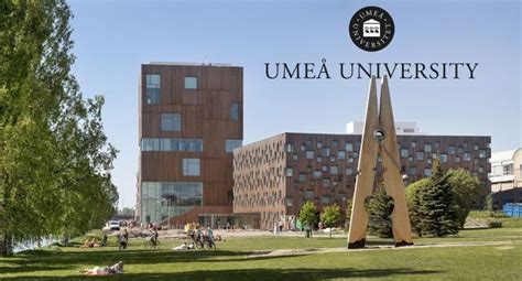 The Department Of Chemistry At Ume University Postdoctoral Scholarship