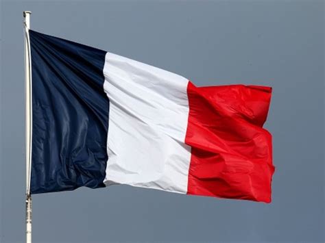 Pre French Revolution Flag