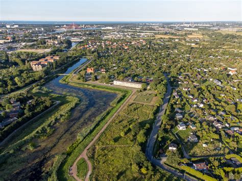 Ywe Kosiarki Nad Op Ywem Mot Awy Gda Sk Zatrudni Owce Do Utrzymania