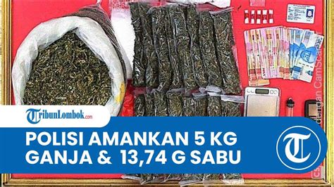 Satresnarkoba Polresta Mataram Amankan 5 Kilogram Ganja Dan Belasan