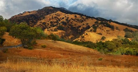 Vacaville Ca Tourismvisitor Information Trade Shows