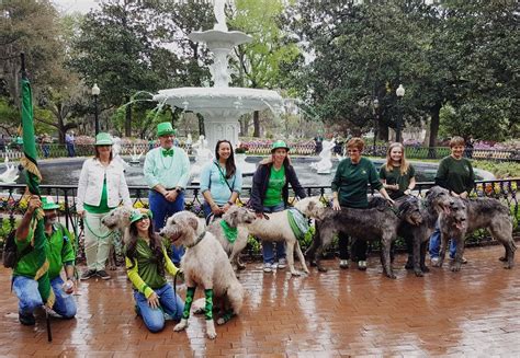 Squad Goals! Savannah, GA St. Patrick's Day parade : r/aww