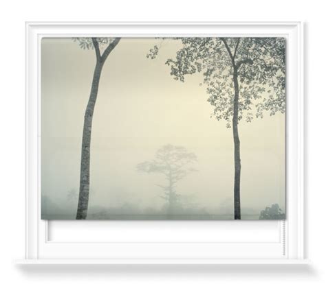 Trees In The Fog On A Gray Day With White Border Around Them Framed By