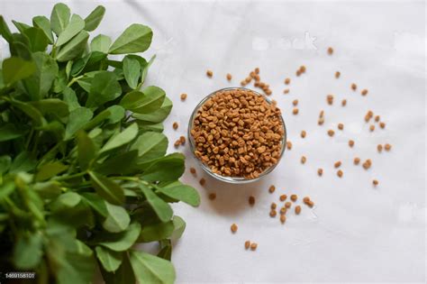 Fenugreek Seeds In Indian Cooking