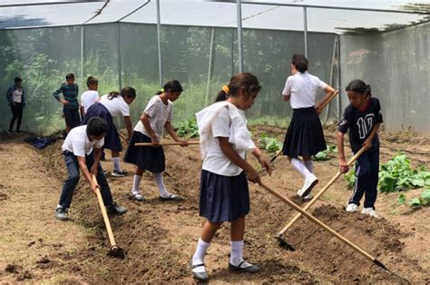 Huertos Pedag Gicos Y Familiares Garantizan Seguridad Alimentaria En