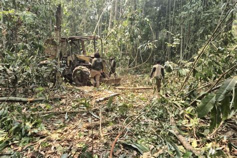 Semas Governo Do Par Intensifica Combate A Inc Ndios Florestais Na