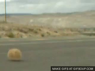 Middle Of Nowhere GIF - Middle Of Nowhere Tumbleweed Desert - Discover & Share GIFs