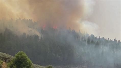 Peligro De Incendios Forestales En Canarias Por Altas Temperaturas Y