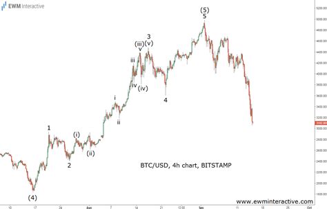 Three Weeks Ahead Of Bitcoin S Terrifying Selloff Ewm Interactive