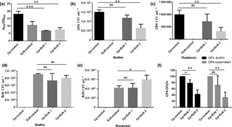 Biofilm Formation By Clostridium Perfringens Strain Cp4pjir750 In The