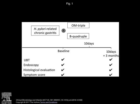 Ten Day Bismuth Containing Quadruple Therapy Is Effective As First Line