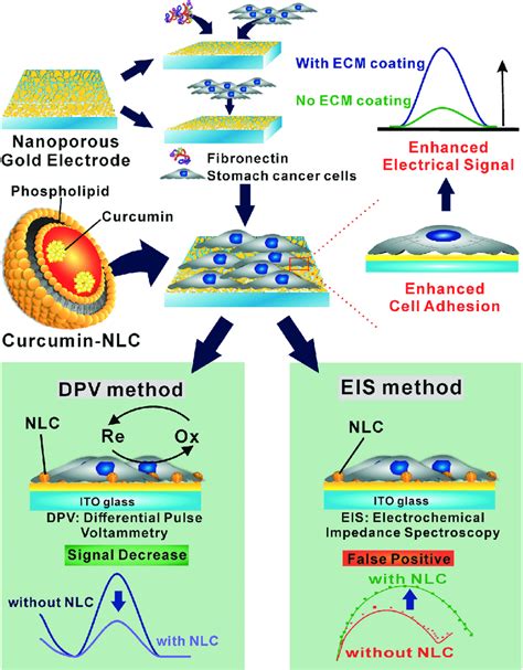 Schematic Diagram Of The Gold Nanostructure Indium Tin Oxide Composite