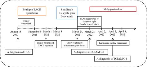 Frontiers Sintilimab Induced Iciam In The Treatment Of Advanced Hcc