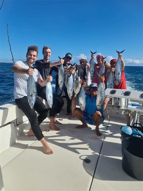 Bonito Del Atl Ntico Norte Foto Cavalier Blue Marlin Sport