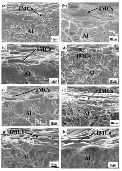 Metals Free Full Text Microstructure Characterization And