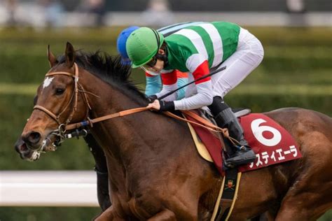 【菊花賞】出走馬の調教後の馬体重 その他競技 スポーツブル スポブル