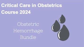 Smfm Learning Critical Care In Obstetrics Online Course