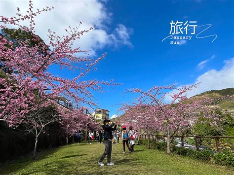 生命，就該浪費在美好的事物上。 「enjoy This Moment」 生命，就該浪費在美好的事物上。 櫻花盛開的 Flickr