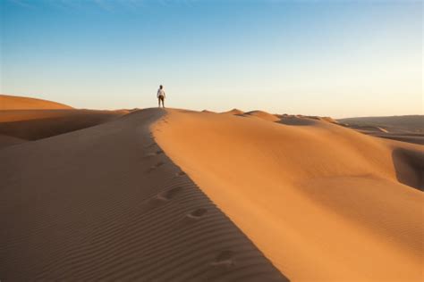 Free Images Landscape Nature Sand Sky Wood Arid Desert Dune