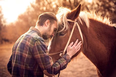 Alimentation Cheval DrBeckmann