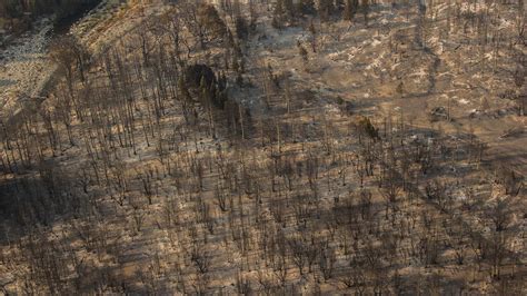 Apocalípticas Postales Del Incendio Forestal Más Grande De La Historia