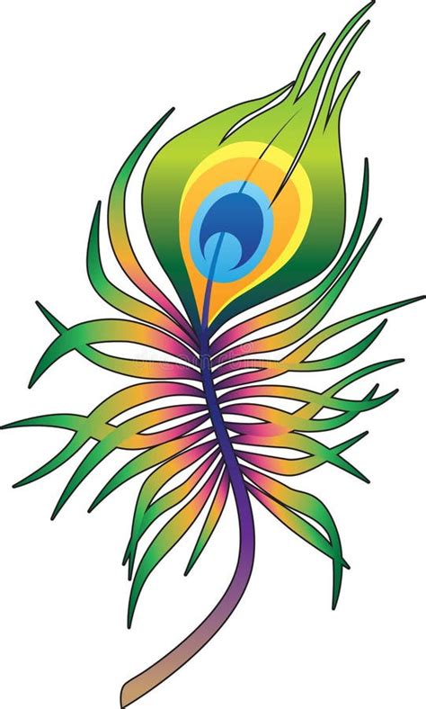 Peacock Feather Stock Vector Illustration Of Design 30801891