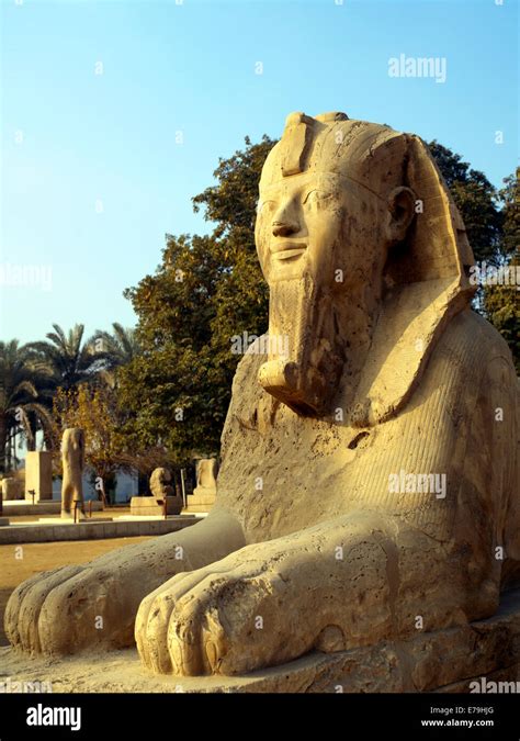 The Alabaster Sphinx At Memphis Egypt Stock Photo Alamy