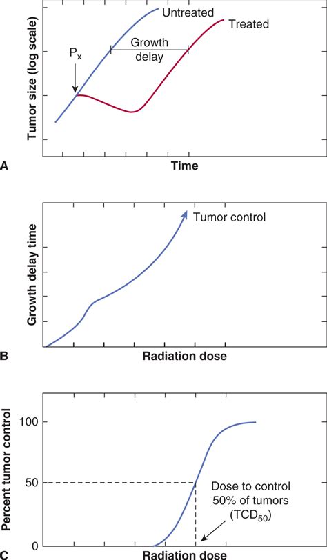 Tumor And Normal Tissue Response To Radiotherapy Oncohema Key