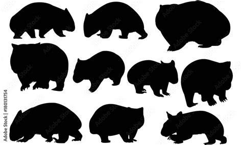 Wombat Silhouette Vector Graphics Stock Vector | Adobe Stock