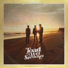 Toad The Wet Sprocket – All You Want (Deluxe Edition) (2023) » download ...