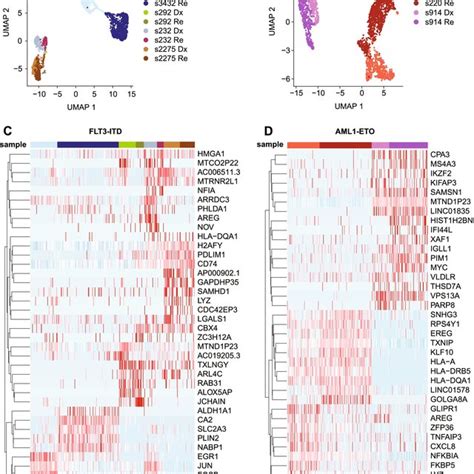 Single Cell Transcriptomics Reveals Heterogeneity Amongst Patients A