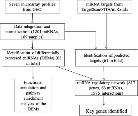 A Schematic Workflow Of Data Analysis Download Scientific Diagram