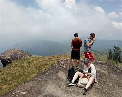 Munnar Info 2022 Qué Saber Antes De Ir Lo Más Comentado Por La Gente Tripadvisor